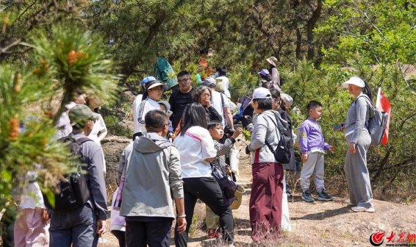 深富策略 青岛大珠山景区：中草药研学赋能文旅融合 “养生+旅游”开拓文旅新赛道