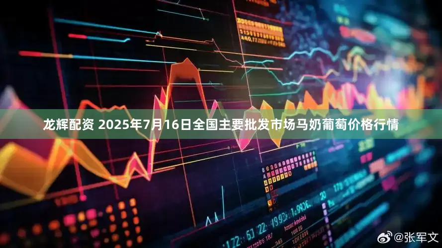 龙辉配资 2025年7月16日全国主要批发市场马奶葡萄价格行情