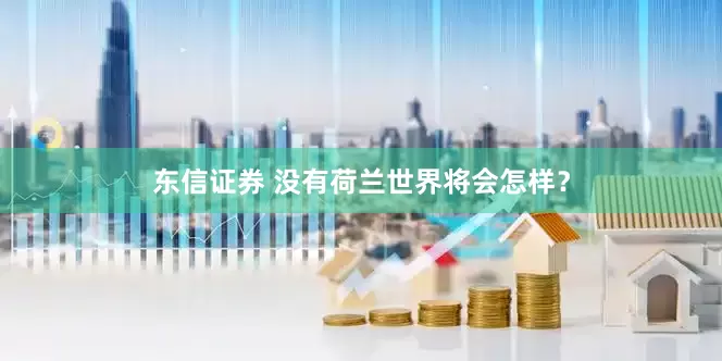 东信证券 没有荷兰世界将会怎样？